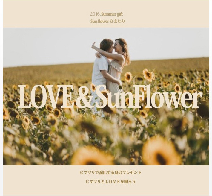 2015.Summer gift Sun flower ひまわり