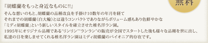 『胡蝶蘭をもっと身近なものに!!』そんな想いのもと、胡蝶蘭の品種改良を手掛け10数年の年月を経てそれまでの胡蝶蘭(白大輪)とは違うコンパクトでありながらボリューム感もあり色鮮やかな「ミディ胡蝶蘭」という新しいスタイルを確立させた椎名洋ラン園。1995年にオリジナル品種である“リンリン”“ランラン”の販売が全国でスタートした後も様々な品種を世に出し、私達の目を楽しませてくれる椎名洋ラン園はミディ胡蝶蘭のパイオニア的存在です。