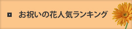 お祝いの花人気ランキング