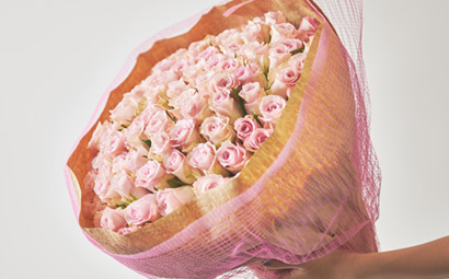 Pink Rose