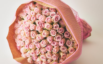 Pink Rose