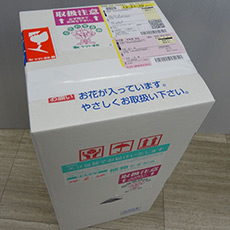 こんな箱で届きます。