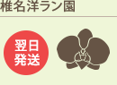 椎名洋ラン園