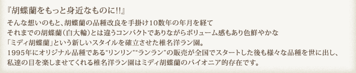 『胡蝶蘭をもっと身近なものに!!』そんな想いのもと、胡蝶蘭の品種改良を手掛け10数年の年月を経てそれまでの胡蝶蘭（白大輪）とは違うコンパクトでありながらボリューム感もあり色鮮やかな「ミディ胡蝶蘭」という新しいスタイルを確立させた椎名洋ラン園。1995年にオリジナル品種である“リンリン”“ランラン”の販売が全国でスタートした後も様々な品種を世に出し、私達の目を楽しませてくれる椎名洋ラン園はミディ胡蝶蘭のパイオニア的存在です。