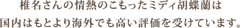 椎名さんの情熱のこもったミディ胡蝶蘭は国内はもとより海外でも高い評価を受けています。