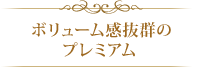 ボリューム感抜群のプレミアム