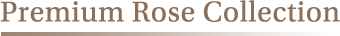 Premium Rose Collection